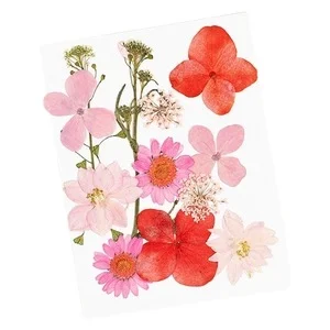 GLITTERNISTI Face Flowers Pink and Greens v:3954587 GLITTERNISTI Face Flowers Pink and Greens v:3954587