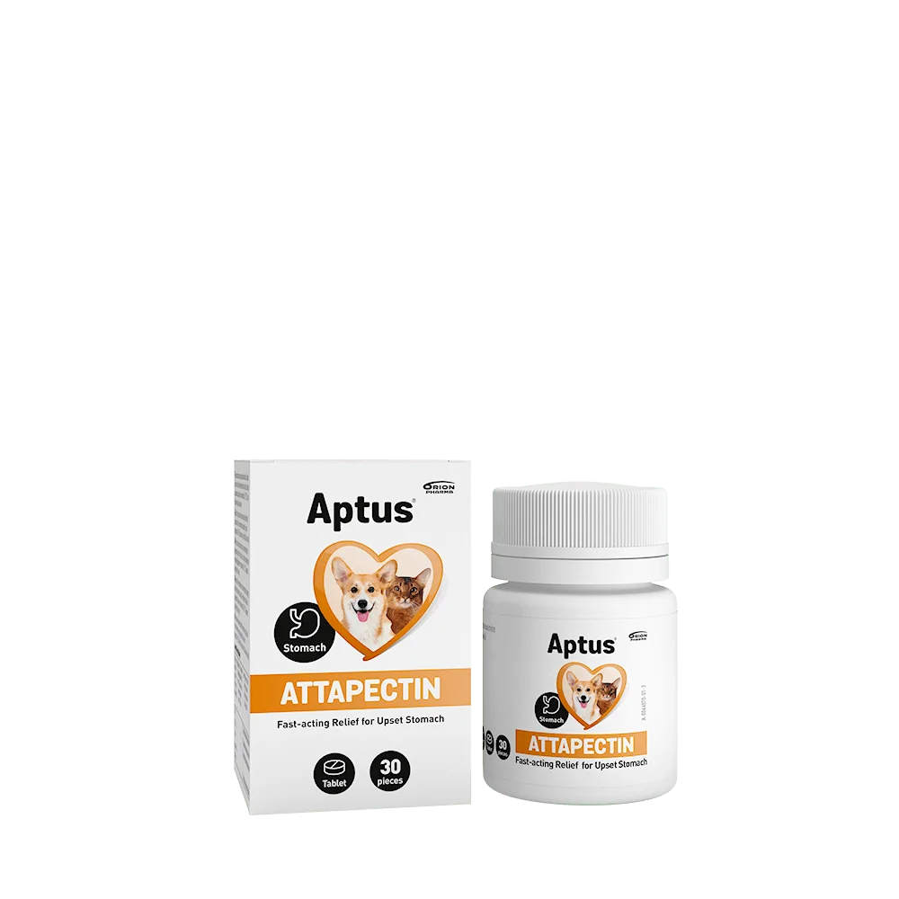 Aptus Attapectin Tabletter – 30 stk v:2965098