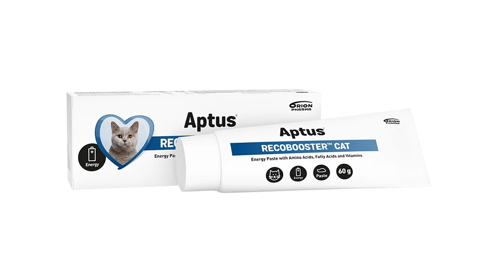 Aptus RecoBooster Cat v:5659962